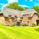 Chalkdell picnic and garden party