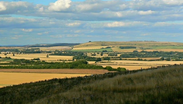 Wessex Waltz Bring Your Own Picnic