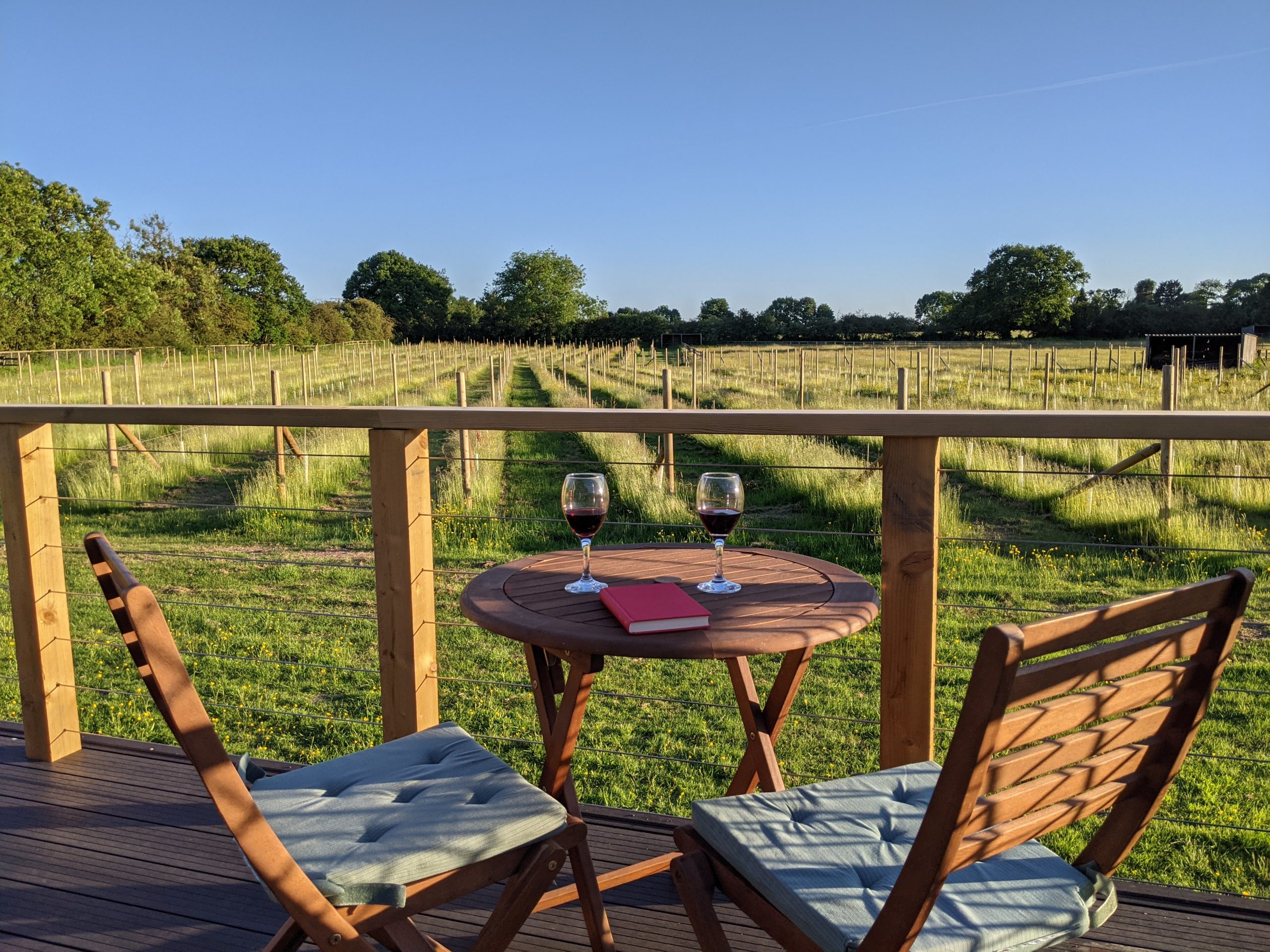 Wolds Wine Estate private tour
